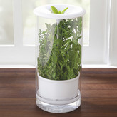 Thumbnail for your product : Chefs Glass Fresh Herb Keeper
