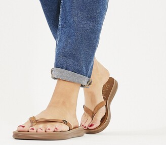 blowfish thong sandals