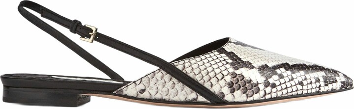 Neil J. Rodgers Hannah Flat