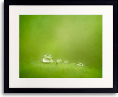 Made & Curated Raindrops on Green by Scott Norris - Picture Frame Painting