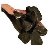 Thumbnail for your product : Cesare Paciotti Black Leather Heels