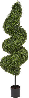 Winward Home Topiary