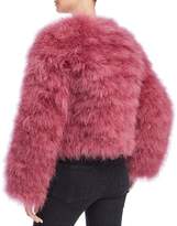Thumbnail for your product : Rebecca Minkoff Pacha Feather Jacket