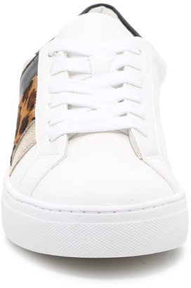 Steve madden fone sneaker Clearance