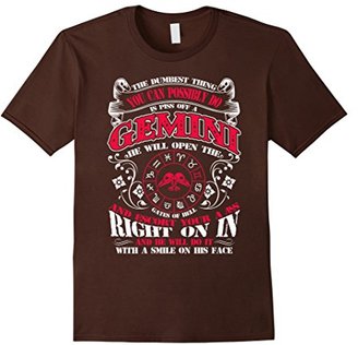Men's Right on in Gemini Facts Sign T shirt XL