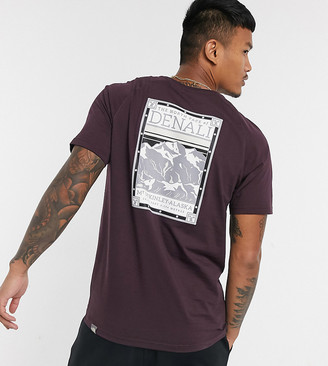 The North Face Faces T-shirt in burgundy Exclusive at ASOS - ShopStyle