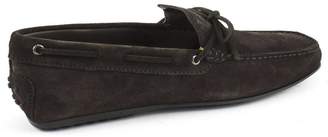 Tod's Gommino Moccasins In Brown Suede Leather