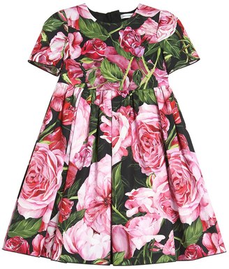 Dolce & Gabbana Roses Print Cotton Poplin Dress