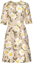 Thumbnail for your product : Lela Rose Holly Floral-Jacquard Knee-Length Dress