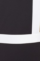 Thumbnail for your product : Ellen Tracy Zip Detail Colorblock Scuba Sheath Dress