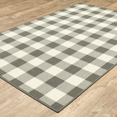 https://img.shopstyle-cdn.com/sim/02/88/0288ee89229fcc10e16f618bca628192_best/homesahel-gray-and-ivory-gingham-2-x-4-area-rug-for-entrance-living-room-indoor-and-outdoor.jpg