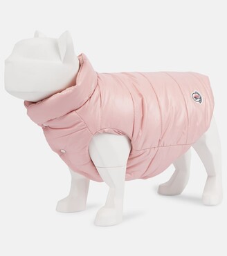 MONCLER GENIUS x Poldo Dog Couture dog coat