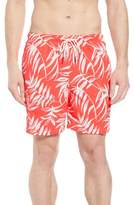 Thumbnail for your product : Tommy Bahama Naples Muy Caliente Swim Trunks