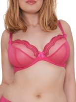 Thumbnail for your product : Curvy Kate Cabaret plunge bra