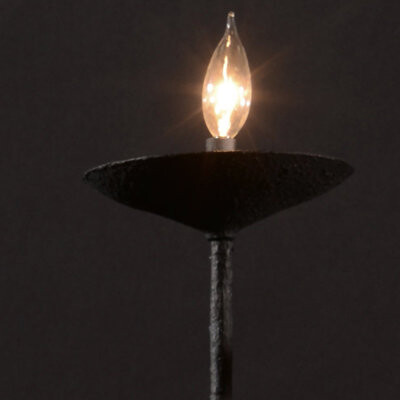 Luxe Light and Home 12 - Light Chandelier