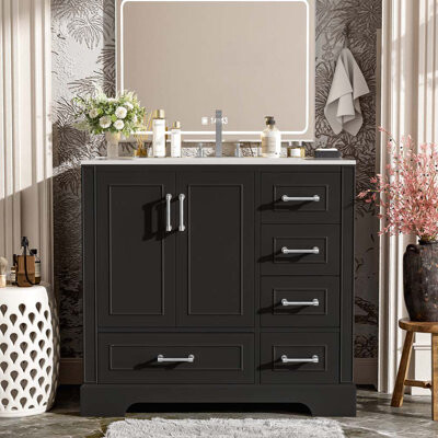 Winston Porter Bathroom Vanity with Ceramic Sink, 4 Drawers,2 Doors