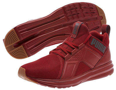 puma cell regulate sl