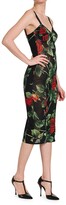 Thumbnail for your product : Dolce & Gabbana Rose Print Sheath Dress