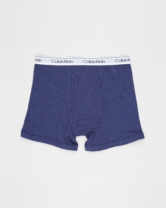 Calvin Klein Boy's Grey Briefs - Teen - 2-Pack Modern Cotton Boxer Briefs