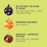 Thumbnail for your product : Juice Beauty STEM CELLULAR™ Anti-Wrinkle Moisturizer