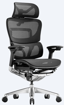 OdinLake O1 (Ergo PLUS 743) | Flex Mesh Ergonomic Chair