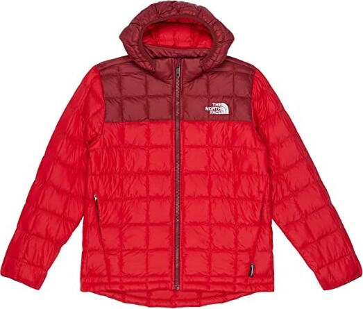 The North Face Kids Thermoball Hooded Jacket (Little Kids/Big Kids ...