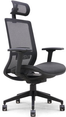 https://img.shopstyle-cdn.com/sim/03/56/0356b285c0460d43b40e60835c3aa5ee_best/gini-ergonomic-mesh-task-chair-with-headrest.jpg