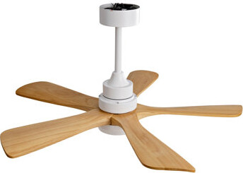 Ivy Bronx Hot Sales Ceiling Fans With Lights And Remote