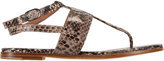 Thumbnail for your product : Barneys New York Snakeskin Lana Thong Sandals
