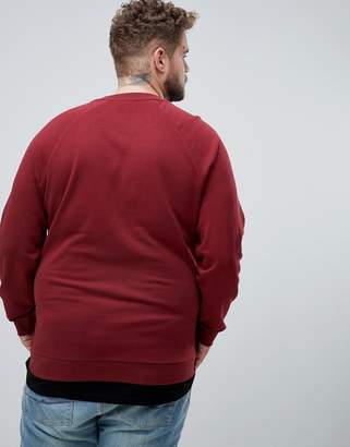 ASOS DESIGN plus sweatshirt in burgundy with hem extender