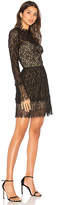 Thumbnail for your product : Saylor Amity Lace Dress
