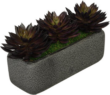 House of Silk Flowers Inc. Artificial Pointed Desktop Echeveria Plant in Decorative Vase