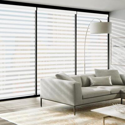 Symple Stuff Cordless Zebra Blinds Roller Shades for Window-Dual Layer Sheer Blinds Light Control with Valance Day Night Privacy Light Filtering Fabric, 28"W x 72