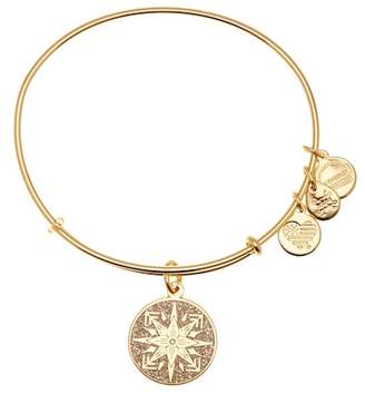 Alex and Ani Healing Love Color Infusion Expandable Wire Charm Bracelet