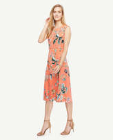 Thumbnail for your product : Ann Taylor Tall Coral Oasis Dress