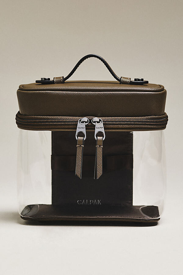 CalPak Clear Train Case with Top Compartment