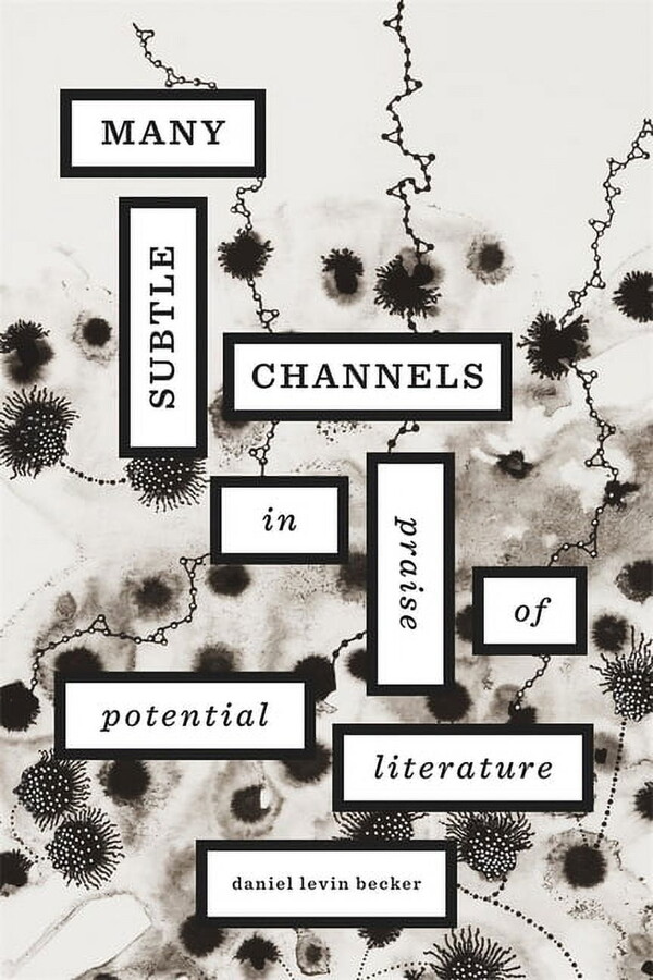 Many Subtle Channels: In Praise of Potential Literature (Hardcover)