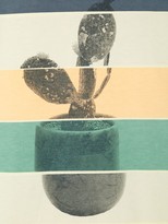 Thumbnail for your product : Familiar cactus print T-shirt