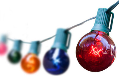 Wintergreen Lighting Steady 25 Light String Light