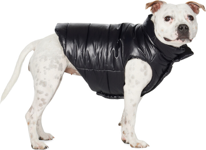 Black Padded Dog Carrier - Moncler Poldo Dog Couture for Special