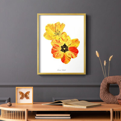 Winston Porter Olive's Tulips I Framed Print - Solid Wood