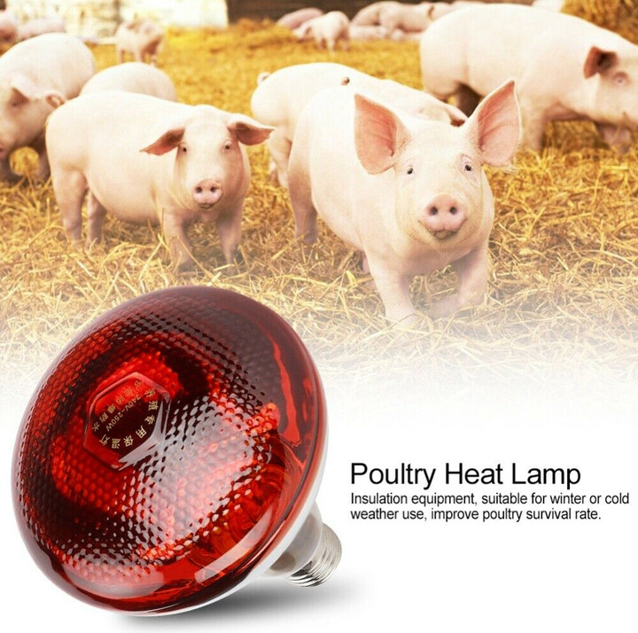 KISS-THE NIGHT Breeding Heating Lamp E27 220V 100-275 Watts Infra Red Heat Lamp Poultry Brooder Chicks Hatching Puppies Piglet Bulb lLighting