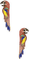 Thumbnail for your product : Elizabeth Cole Paulina Parrot Earring