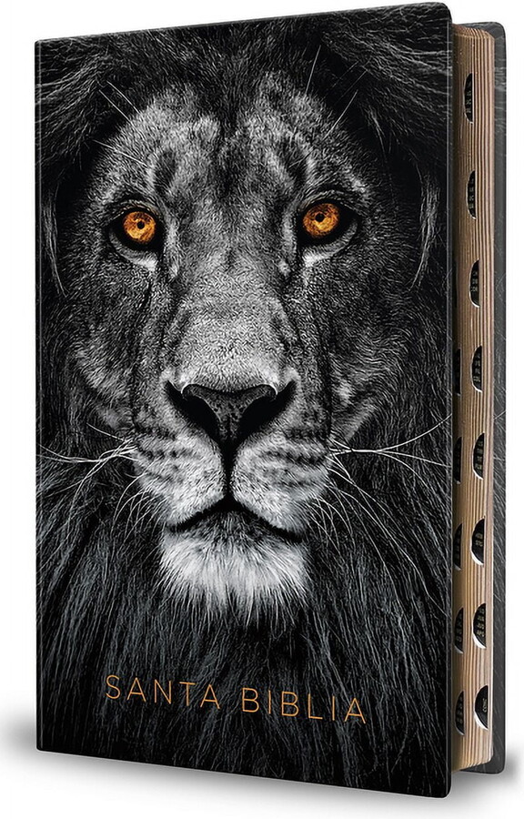 Biblia Reina Valera 1960 Letra Grande. Biblia LeÃ³n SÃmil Piel Ãndice / Spanish Bible Rvr 1960 Handy Size Large Print Imi, (Paperback)