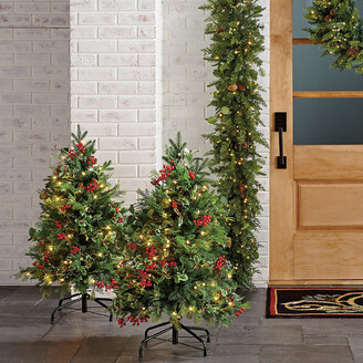 Frontgate Set of 2 Christmas Cheer Pathway Trees