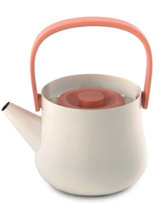 Stainless Steel Tea Kettle - ShopStyle