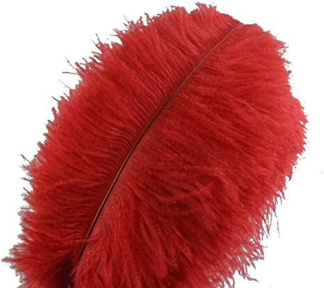 Sowder 10pcs Ostrich Feathers 12-14inch(30-35cm) for Home Wedding Decoration(red)