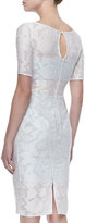 Thumbnail for your product : Pamella Roland Short Sleeve Lace Overlay Cocktail Dress, Ivory