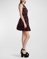 Thumbnail for your product : Zac Posen Floral Embellished Tulle Lace-Yoke Mini Dress