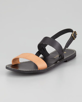 Thumbnail for your product : Jacques Levine Stella Flat Colorblock Sandal, Black/Blush